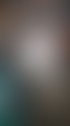 Seashells and Pinecones