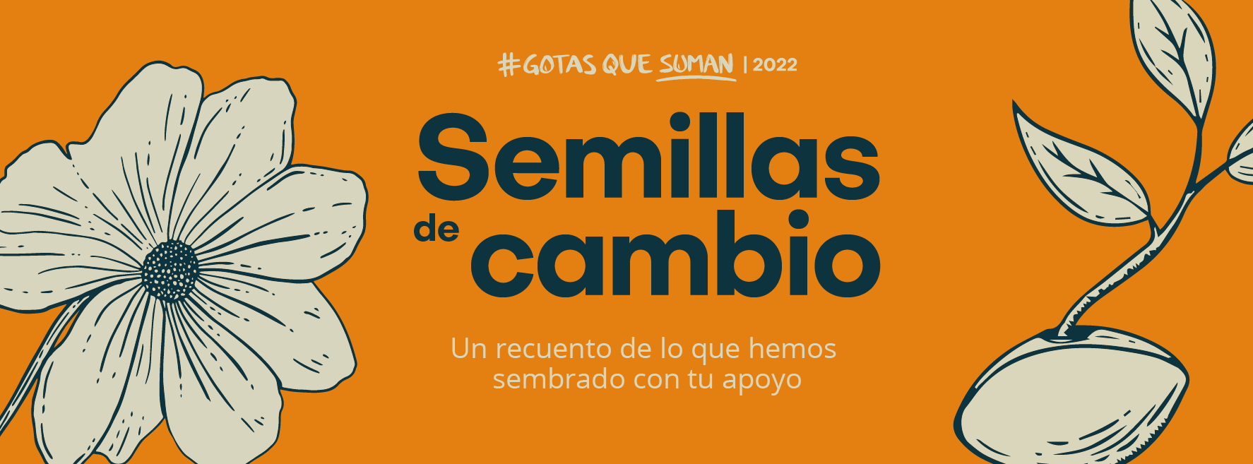 Semillas de cambio | Gotas Que Suman 2022