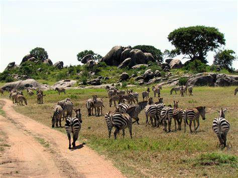 Serengeti National Park