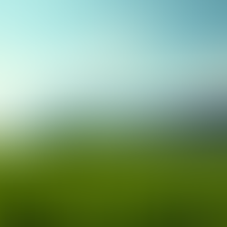 Practical Ways to Achieve a Sustainable Energy Future