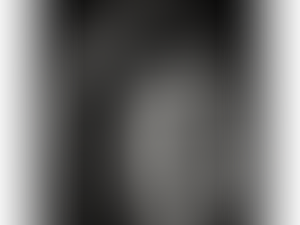 Autofiction - New Suede Album