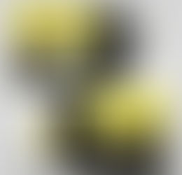 Coming Up 25th Anniversary - date change