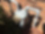 Image-5.jpeg