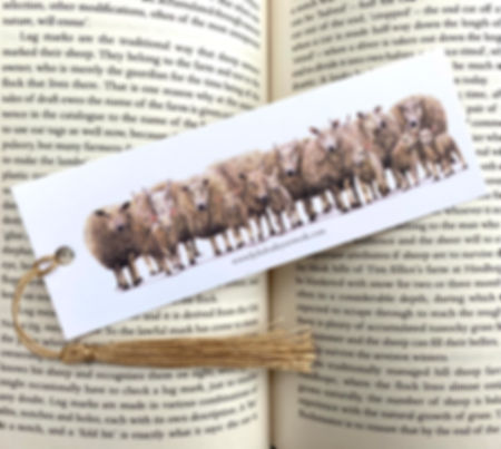 'Pastures New' Bookmark