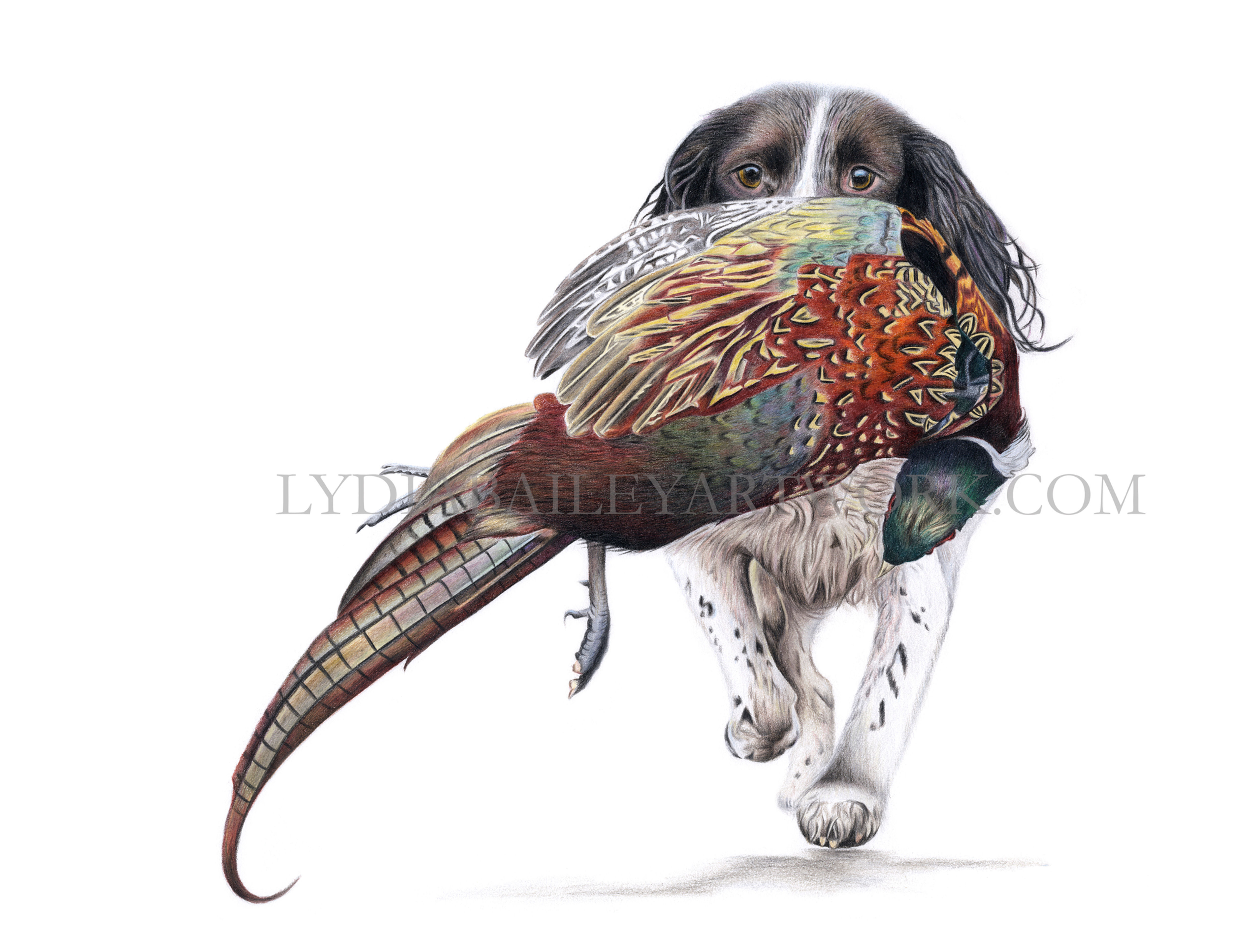 'The Retrieve' Limited Edition Print