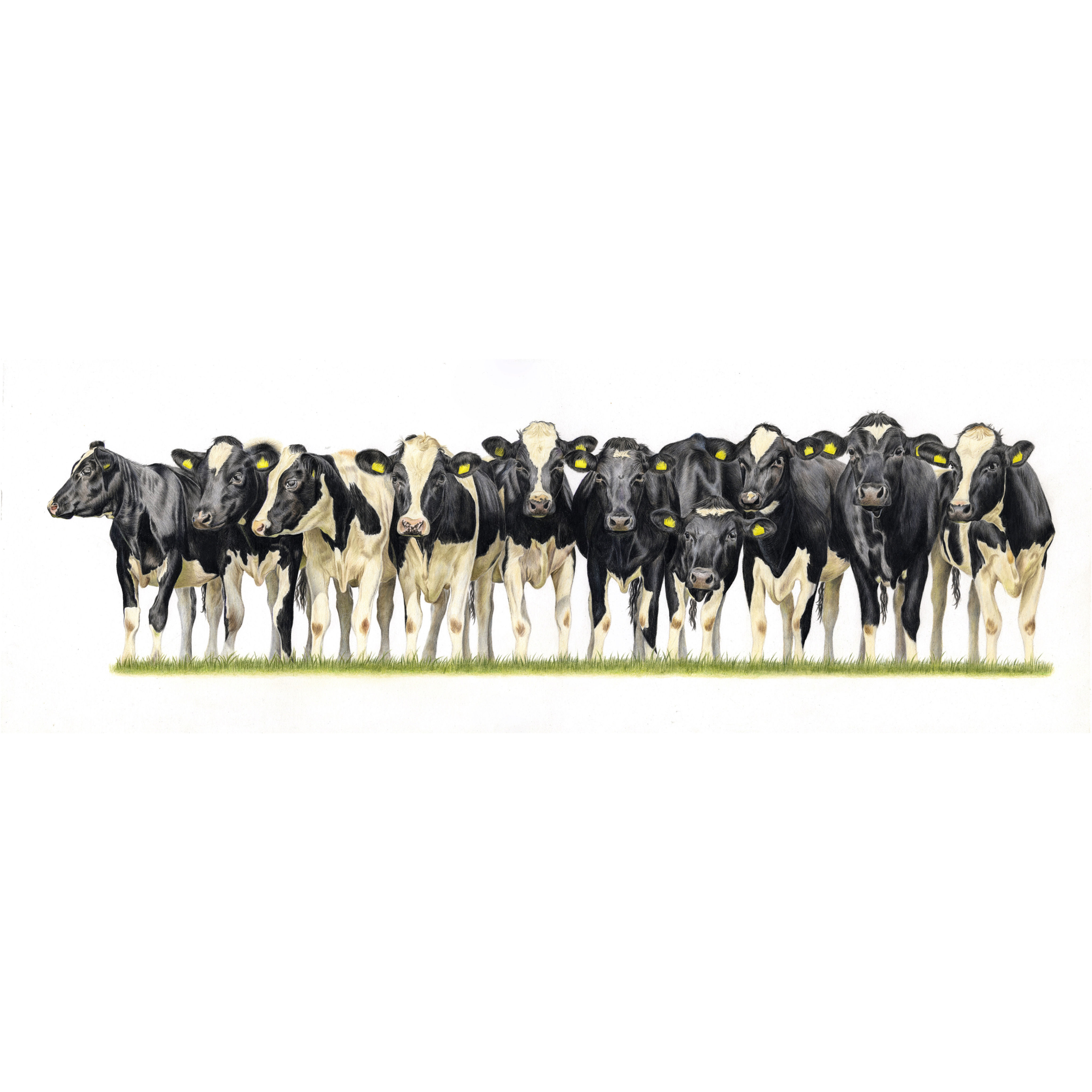 ‘Here Come The Girls’ Limited Edition Panoramic Print