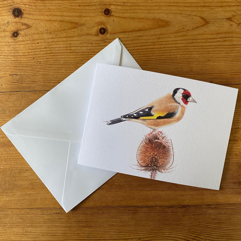 ‘Goldfinch Study’ Greetings Card