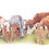 Thumbnail: 'Grazin' Squad' Limited Edition Panoramic Print