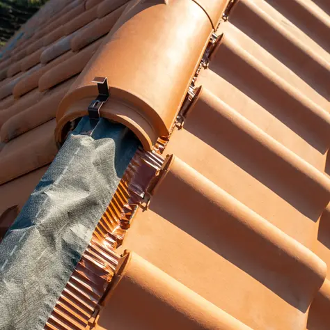 Roof Repair and maintenance. Protect Your Home from the Elements