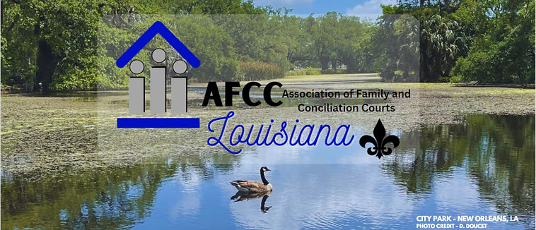 Louisiana Logo Banner_edited.jpg