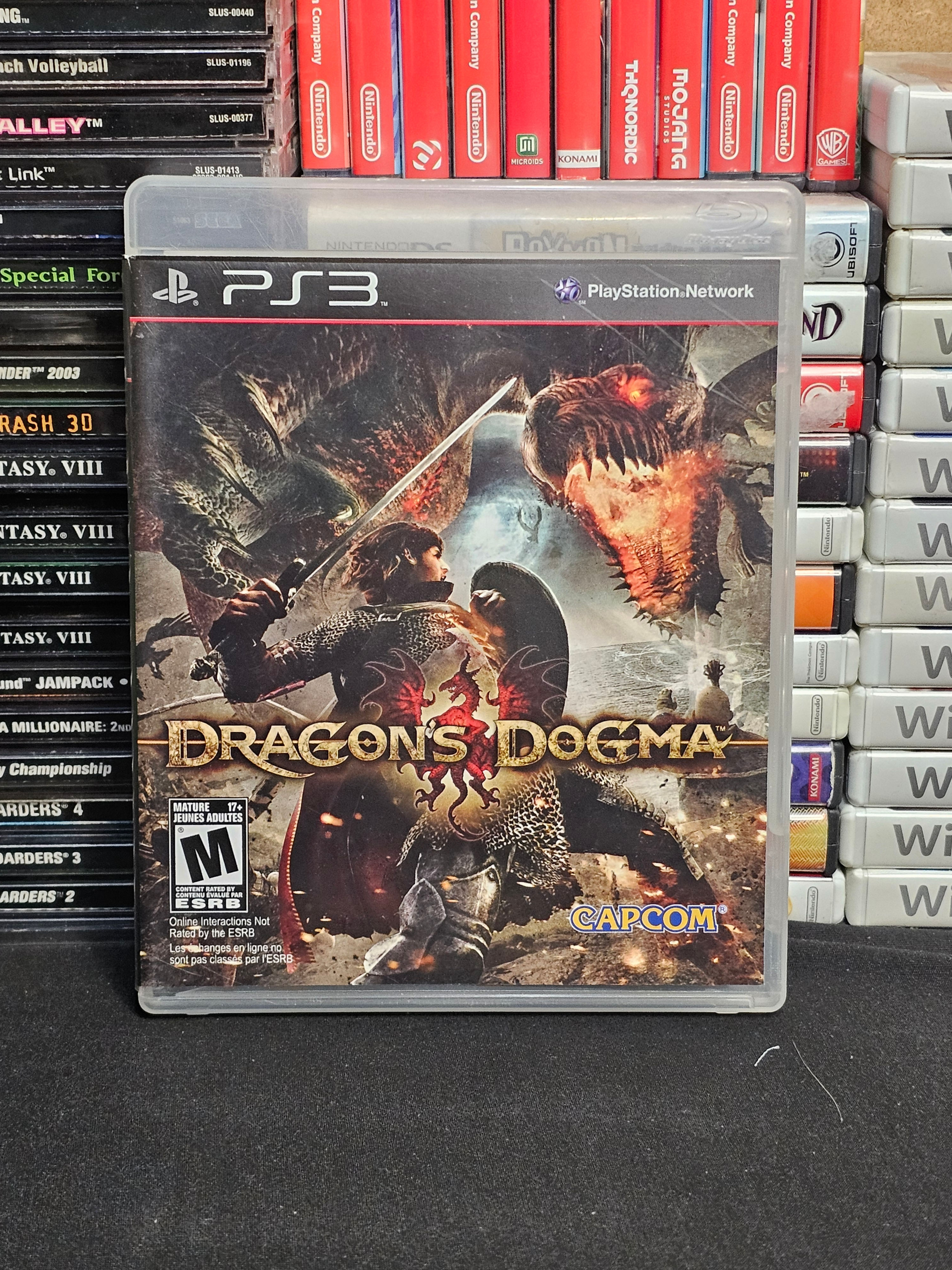 Dragons Dogma