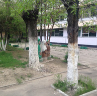 2942514.jpg