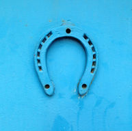 img-5568_orig.jpeg