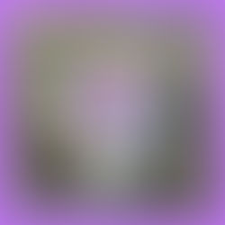 プリザーブドフラワー2026,3月のレッスン課題