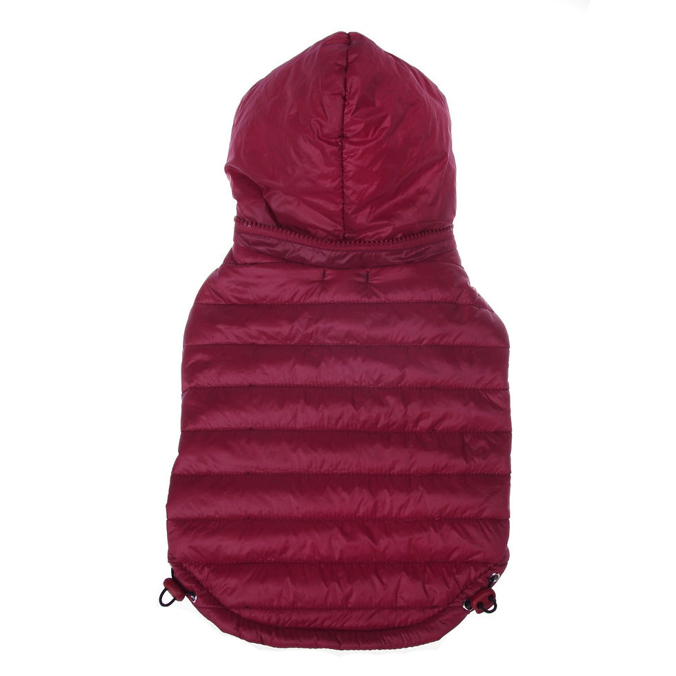 Thumbnail: thinsulate pet life avalanche coat with convertible hood stuff sack packable lightweight