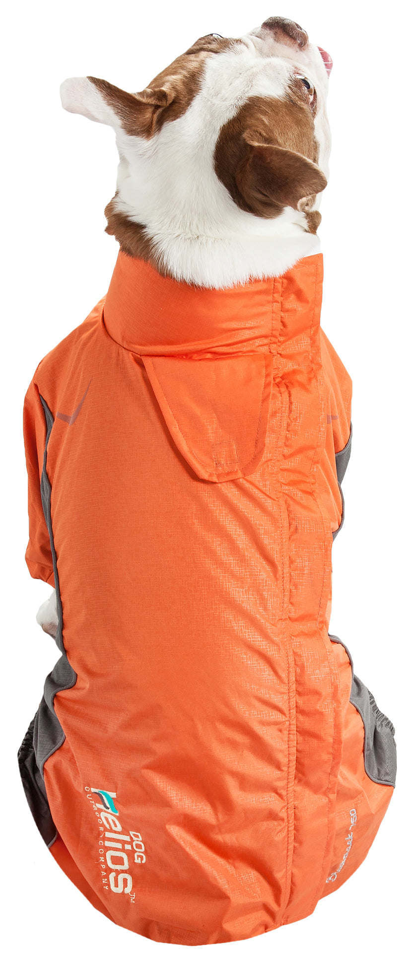 Thumbnail: Helios Blizzard Full-Bodied Adjustable and 3M Reflective Dog Jacket
