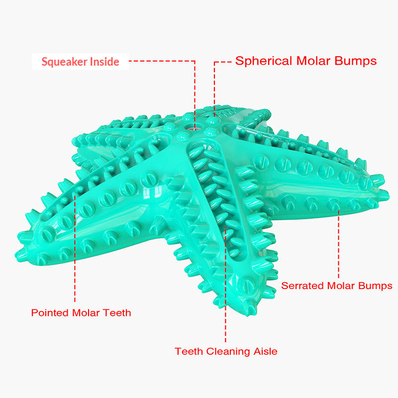Thumbnail: sea star starfish shaped dog squeaker toy toothbrush fun activity pet toy