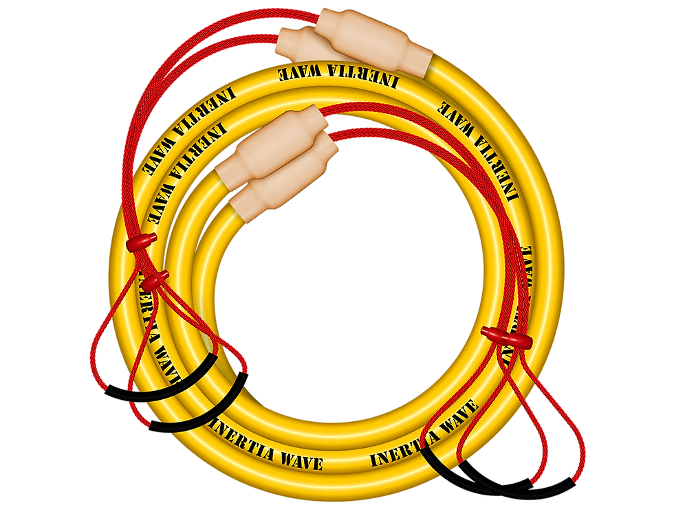 Inertia Wave DUO Exercise Tube
