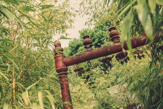archway to palm house