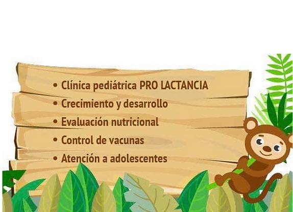 servicios con monito.png