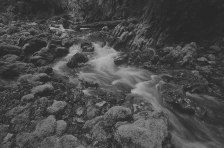 1529366973228_articles_Julius-Creek_Ian-