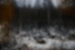 THE SLEEPING LAND