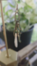 Thumbnail: Coyote Teeth Earrings