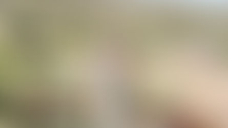 Are you doing your mission?