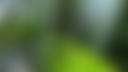 Hoa Ưu Đàm nở nữa rồi