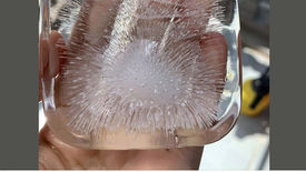 Thí nghiệm với nước