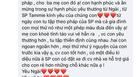 Ánh sáng của Chân Lý