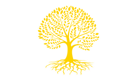 Tammie thông báo Lịch Livestream tuần này như sau