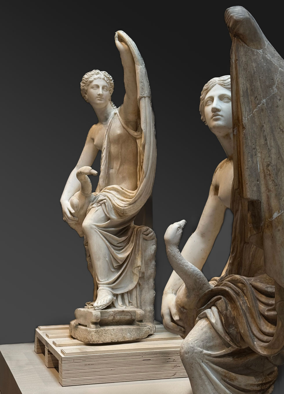 "Leda & The Swan" (2026)