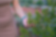 Screen Shot 2025-09-04 at 6.34.14 PM.png