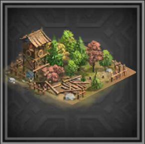 Half Burnt Logging Site