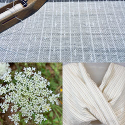 Queen Anne's Lace Tryptych