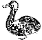 Die mechanische Ente 1738.png