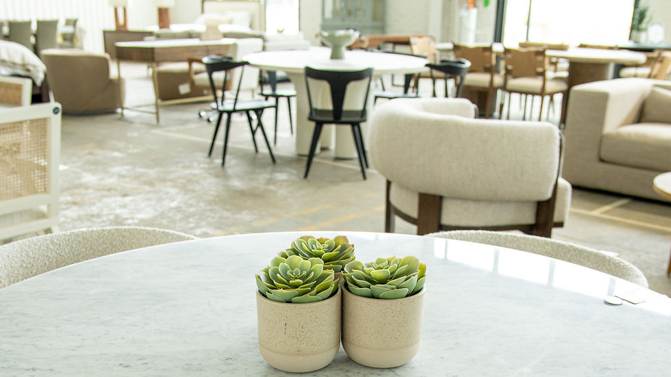 High-End Designer Furniture at Discounted Prices