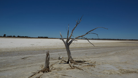 Lake Gounter