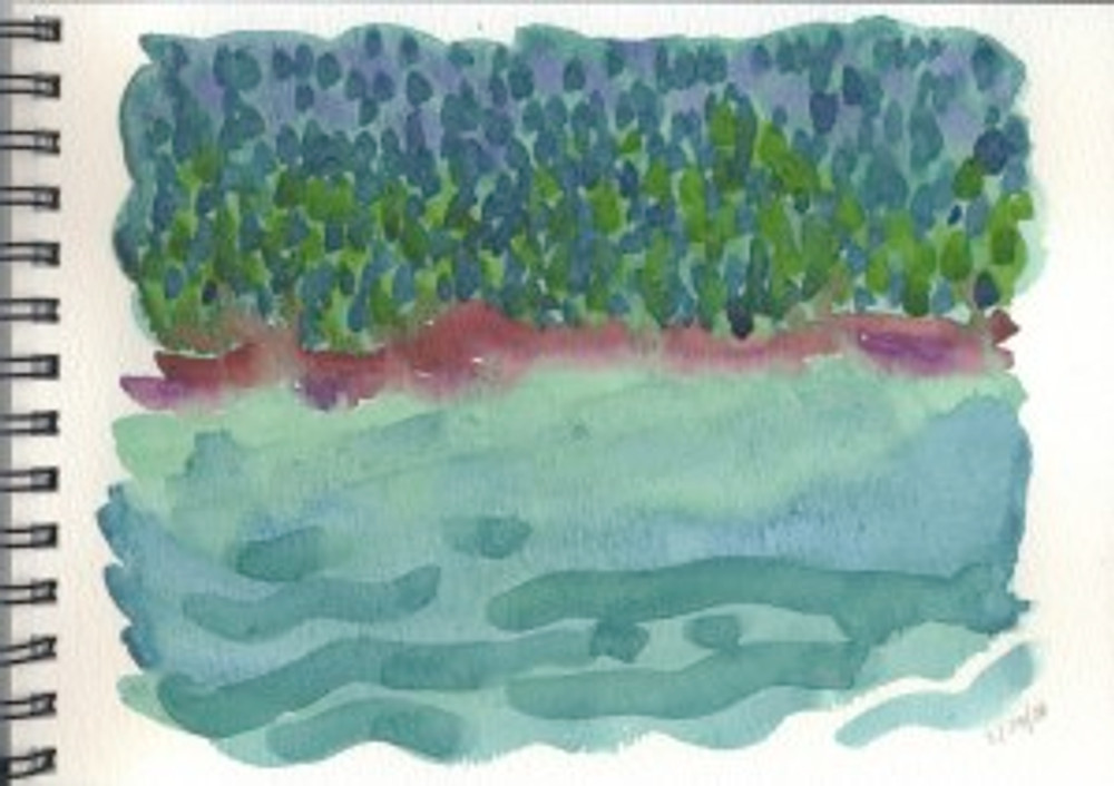 Alaska 2006 Sketchbook - Admiralty Island 2