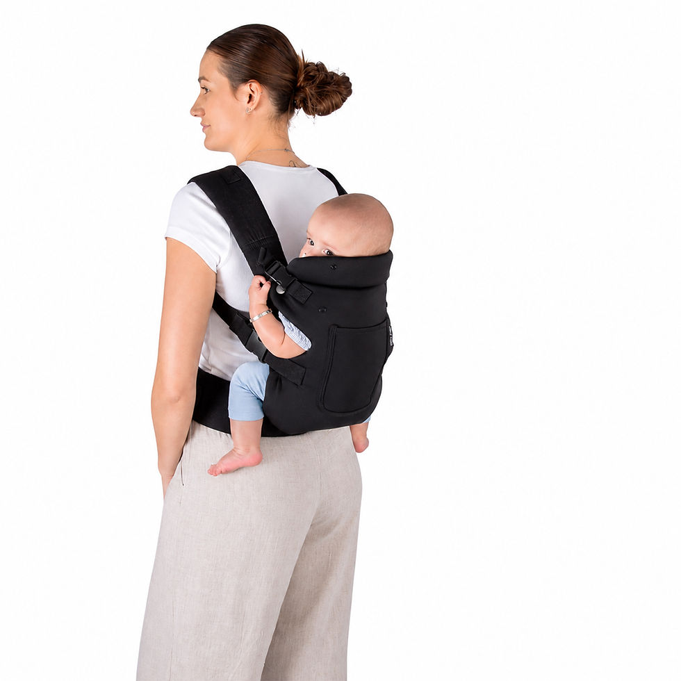 Thumbnail: Ara Carrier - Black