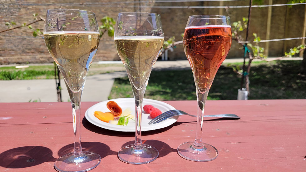Bottle Club Wine & Small Bite Pairing