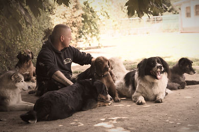 Stefan mit Hunden