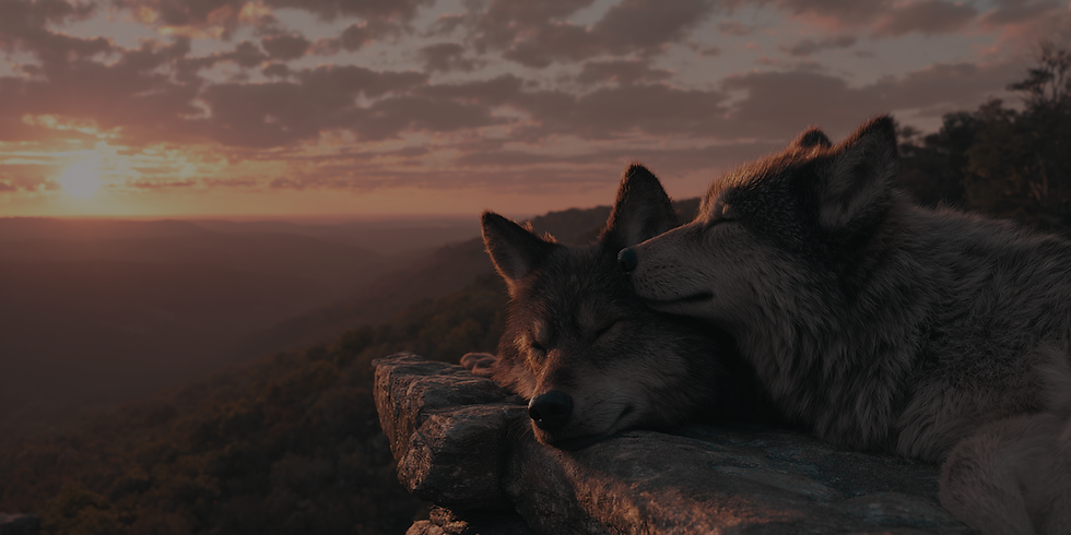 Design ohne Titel (1).png