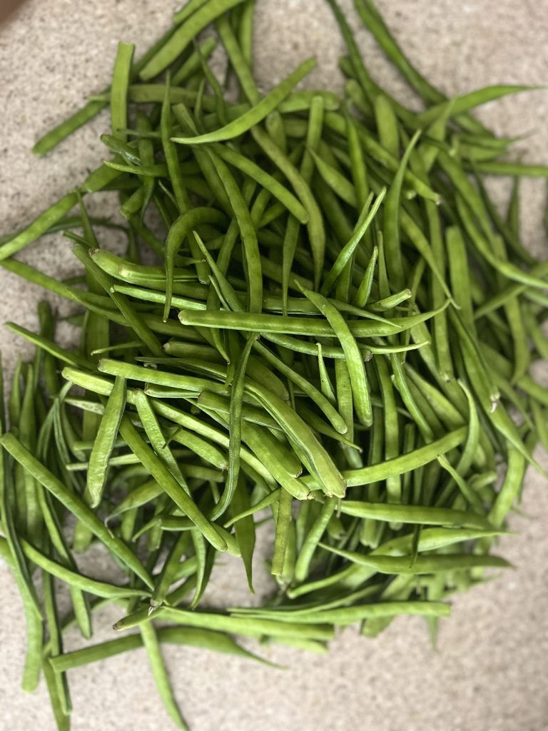 Fresh vegetables