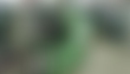 الصناعات العراقية