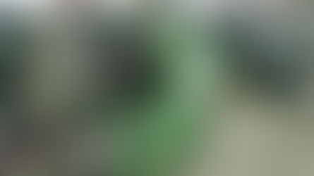 الصناعات العراقية