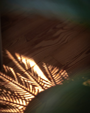 Jana Barbulovic klein15.jpg