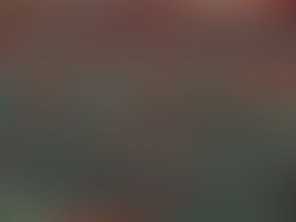 Coquelicot (Papaver rhoeas)