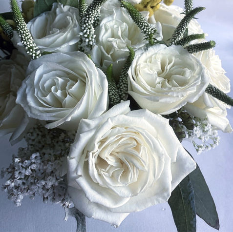 Flower ∣ Playa Blanca Rose